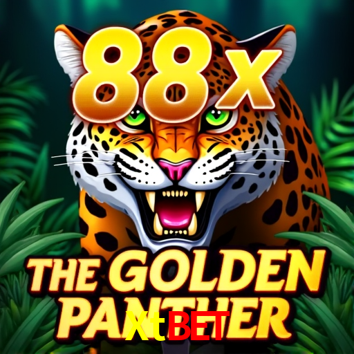 Xtbet Brasília - VIP Program