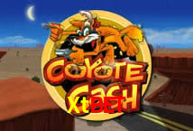 Game Statistics Xtbet